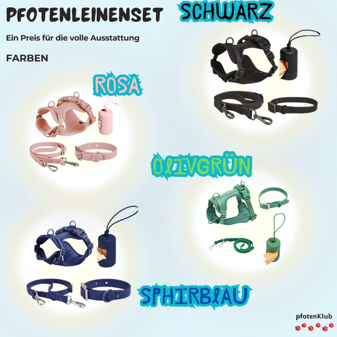 Pfotenleinenset für Kleine Hund oder Welpen