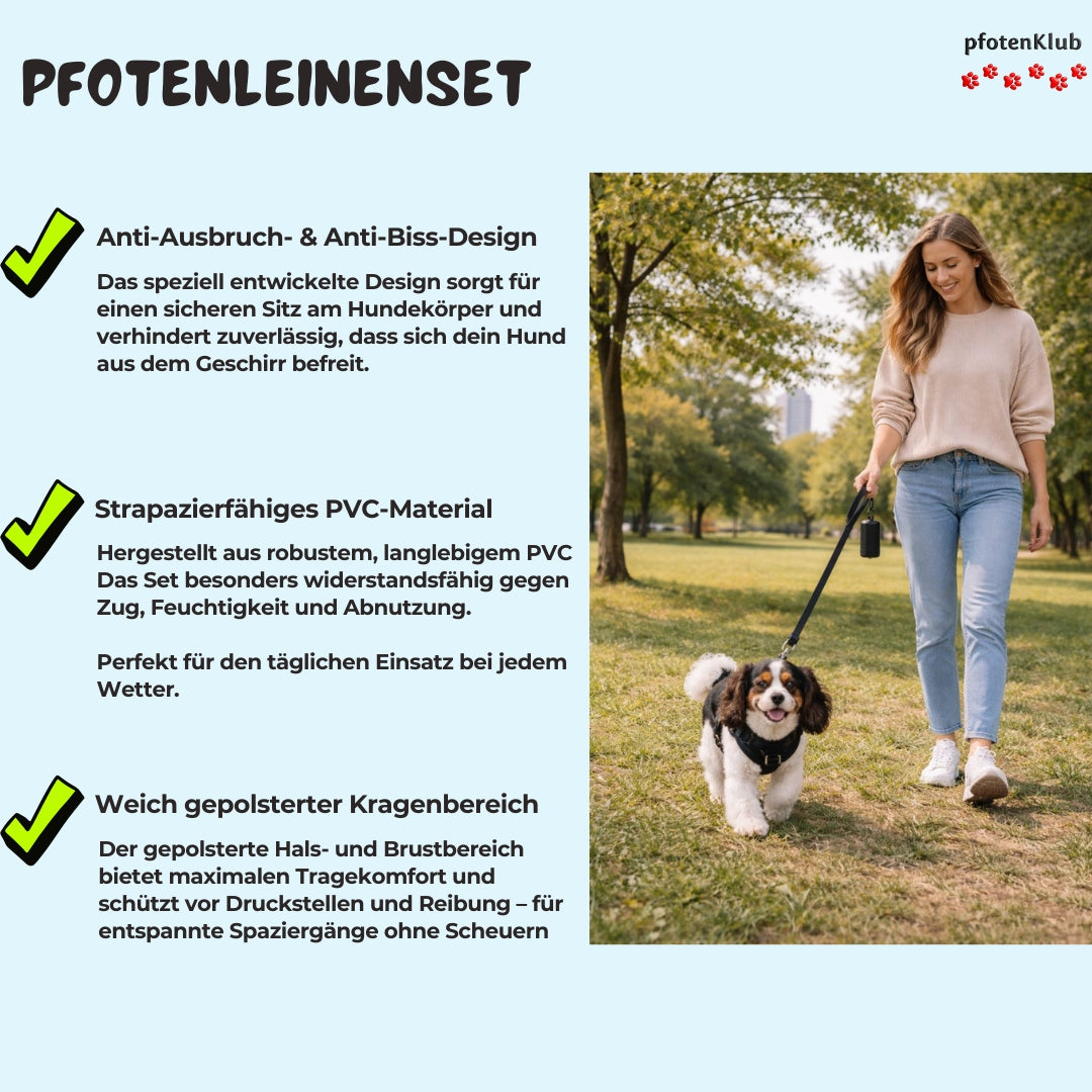 Pfotenleinenset für Kleine Hund oder Welpen