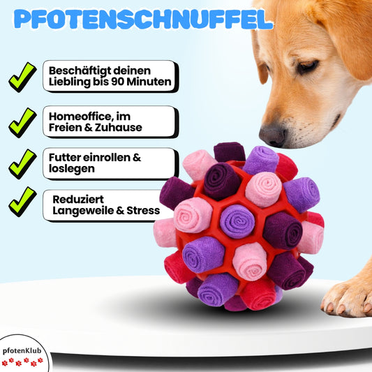 Pfotenschnuffel fördert Intelligenz & beschäftigt