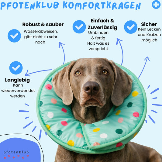 Pfotenklub Komfortkragen für Hunde & Katzen